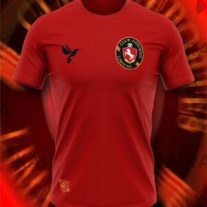 Polera Algodón Deportes Limache - Escudo Clásico