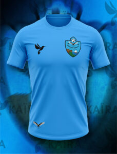 Polera Algodón Quintero Unido - Escudo Clásico