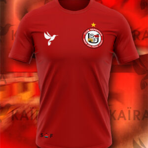 Polera Algodón San Felipe - Escudo clásico